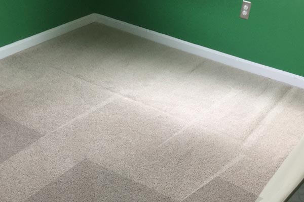 Steam Carpet Cleaning Beauclerc, Jacksonville
