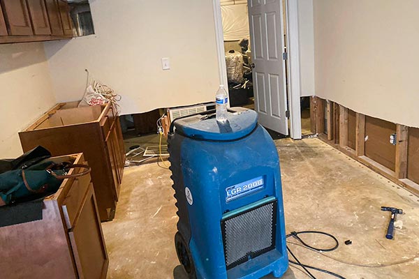 Water Damage Clean Up Services Golden Glades-The Woods, Jacksonville